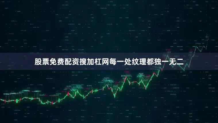 股票免费配资搜加杠网每一处纹理都独一无二